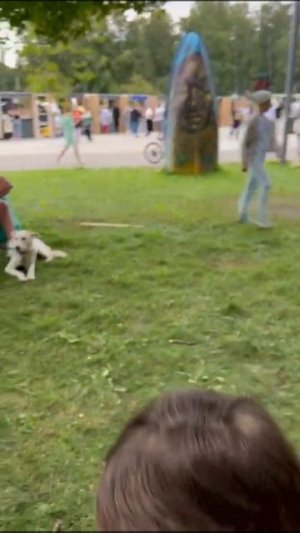 просто собаки