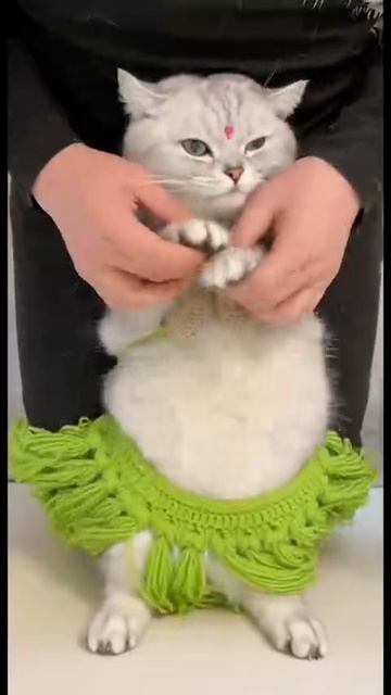 Танцевальная пауза