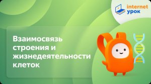 Биология 10 класс. Взаимосвязь строения и жизнедеятельности клеток
