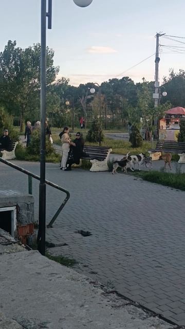 15 СЕНТЯБРЯ ПОНЕДЕЛЬНИК