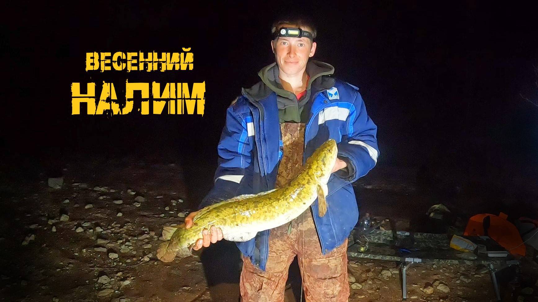 Ловим налима! Рыбалка проще некуда, р.Кама