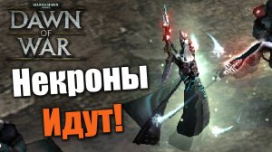 Выстоит ли эльдар против некронов?: Warhammer 40000: Dawn of War