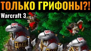 WARCRAFT 3 Refoged_Стратегия ТОЛЬКО ГРИФОНАМИ работает_! Стратегия за Альянс от бармена в Warcraft 3