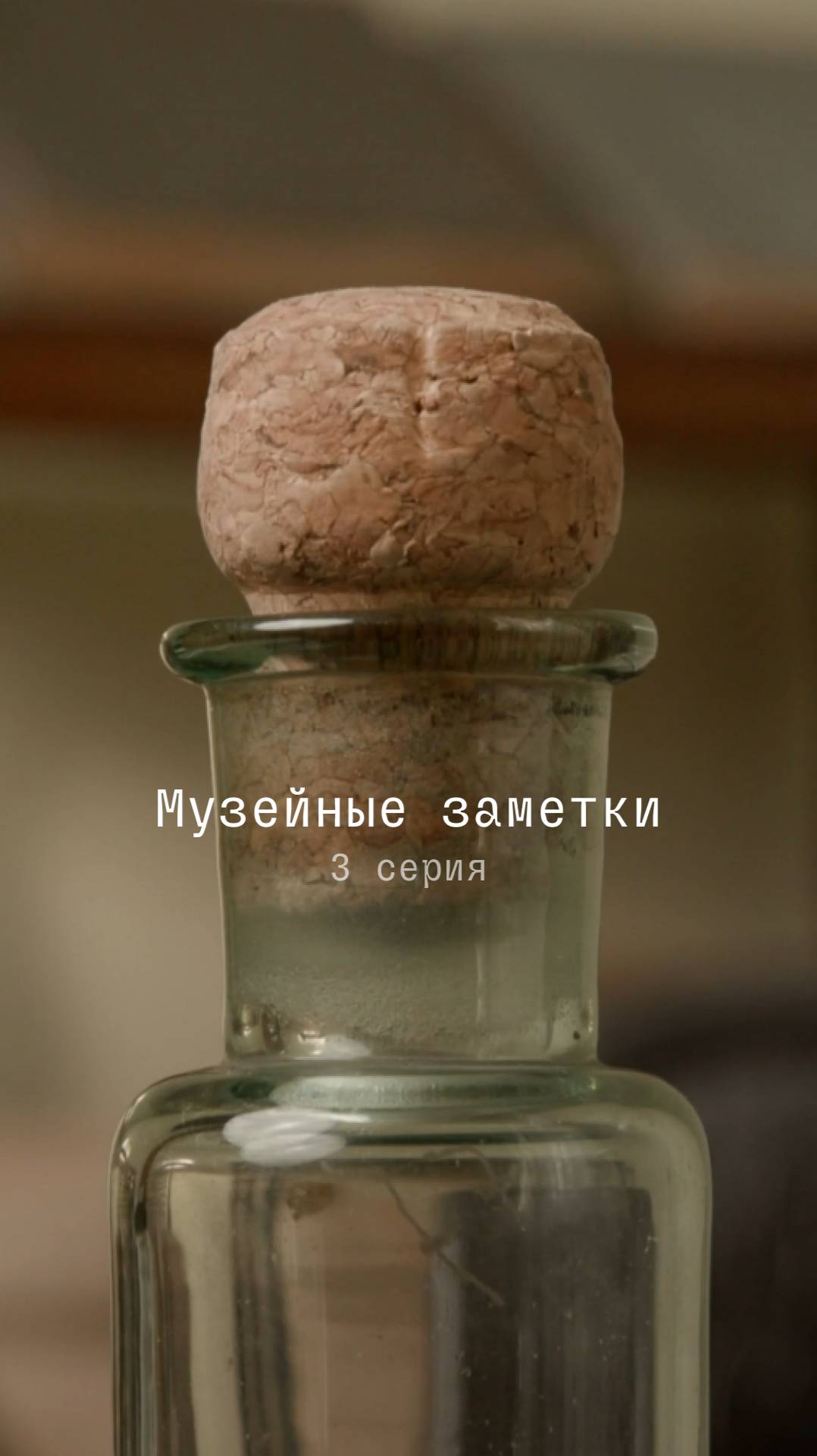 Музейные заметки 🪶 смотреть онлайн