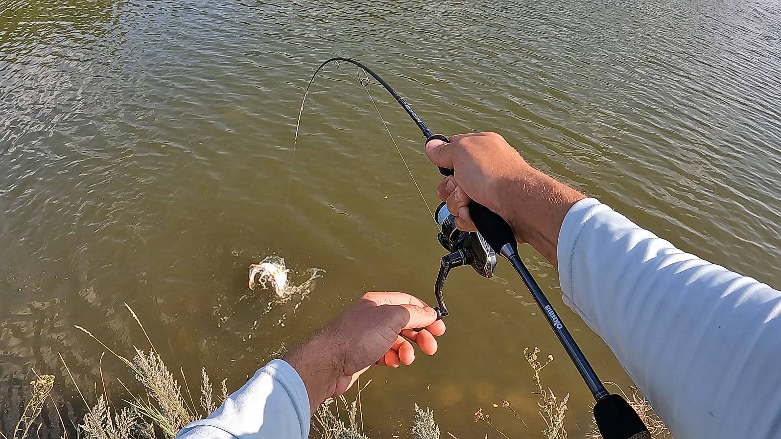 МИКРОДЖИГ спиннинг в СЕНТЯБРЕ! Ловить ПРОСТО, если знать ПРОСТЫЕ правила :) Ловля окуня на спиннинг смотреть онлайн