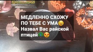 НАЗВАЛ ВАС РАЙСКОЙ ПТИЦЕЙ! ГАДАНИЕ НА ВОСКЕ