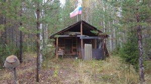 В ТАЙГУ ЗА БЕЛЫМИ ГРИБАМИ