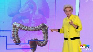 Что такое психобиотки? Жить здорово! Фрагмент выпуска от 17.09.2025