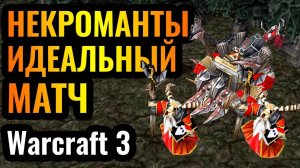 Warcraft 3 Reforged_ШЕДЕВР с НЕКРОМАНТАМИ в Warcraft 3 Reforged_ Идеальная стратегия Некромантов