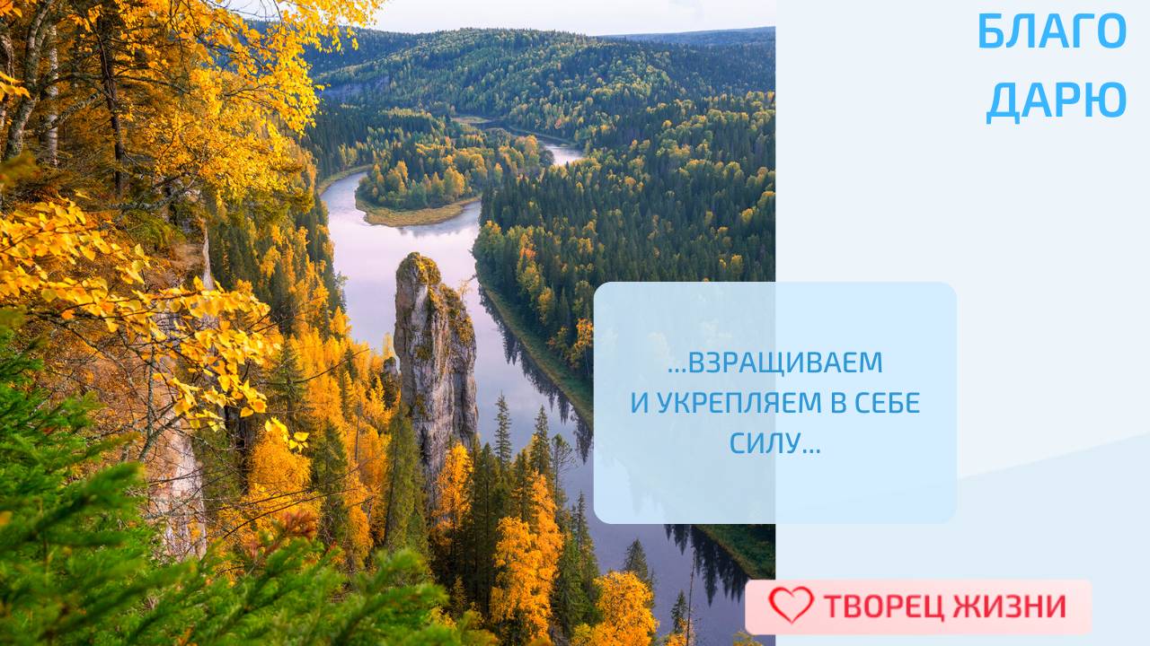 Творец Жизни | Николаева Марина