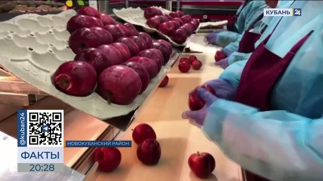 Новокубанскому району посвятили выпуск 17 сентября на телеканале «Кубань 24»