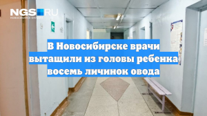 В Новосибирске врачи вытащили из головы ребенка восемь личинок овода
