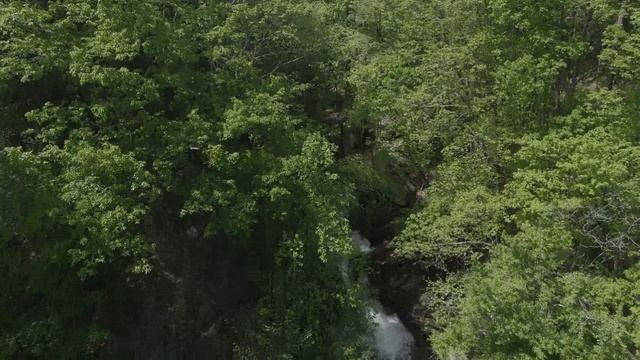 Очень красивое чтение Корана عبدالله الموسي смотреть онлайн