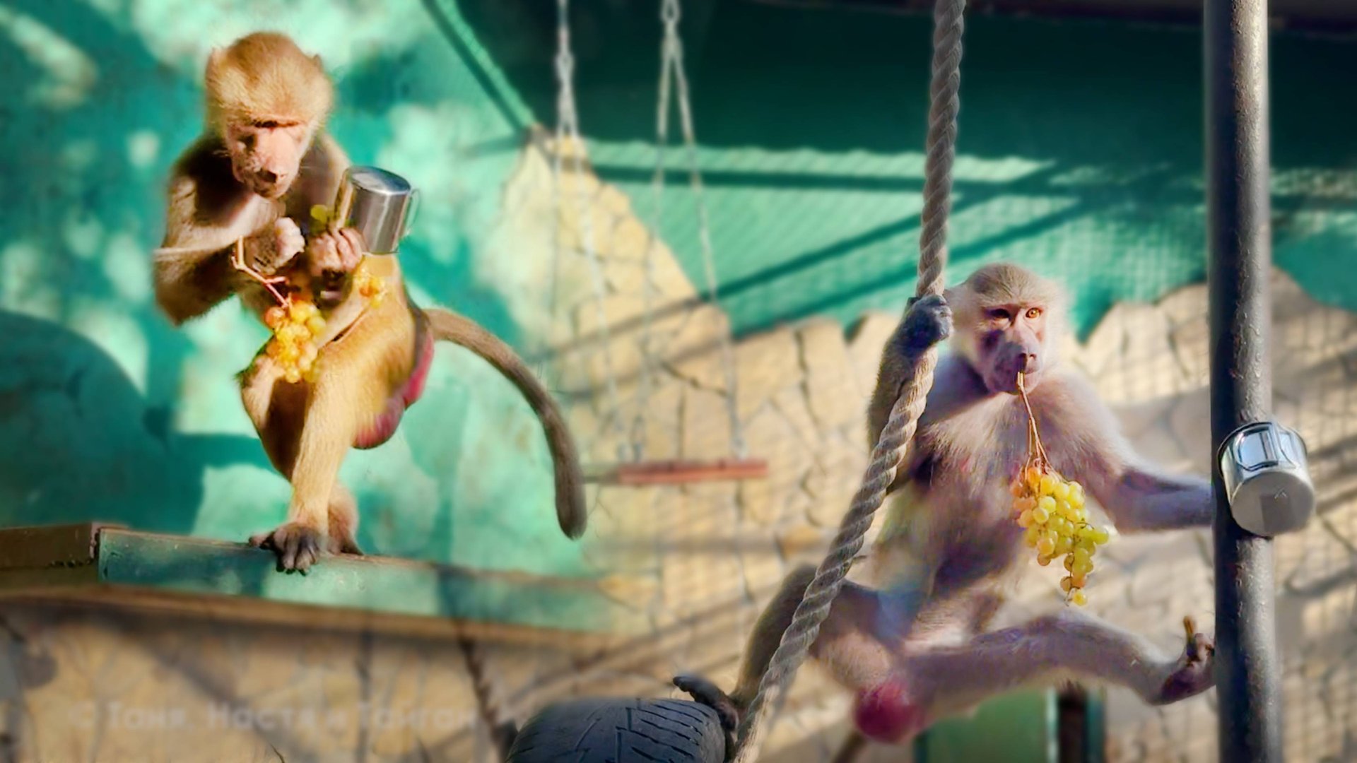 Теперь у Люси есть ЧУДО ПРЕДМЕТ! Делай, что хочешь - ешь, пей, собирай! Елисей и Лида в недоумении! смотреть онлайн