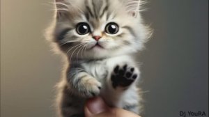 мяу мяу кис кис Детская песня Песенки для детей про котенка который потерялся грустная история