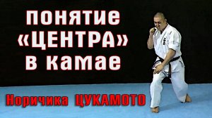 Практика Шинкиокушин.Понятие центра в Камае(Норичика Цукамото)рус.дубляж
