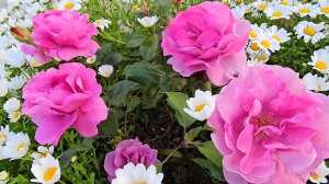 ✨️До и После✨️Восстановлюсь и в строй!✨️