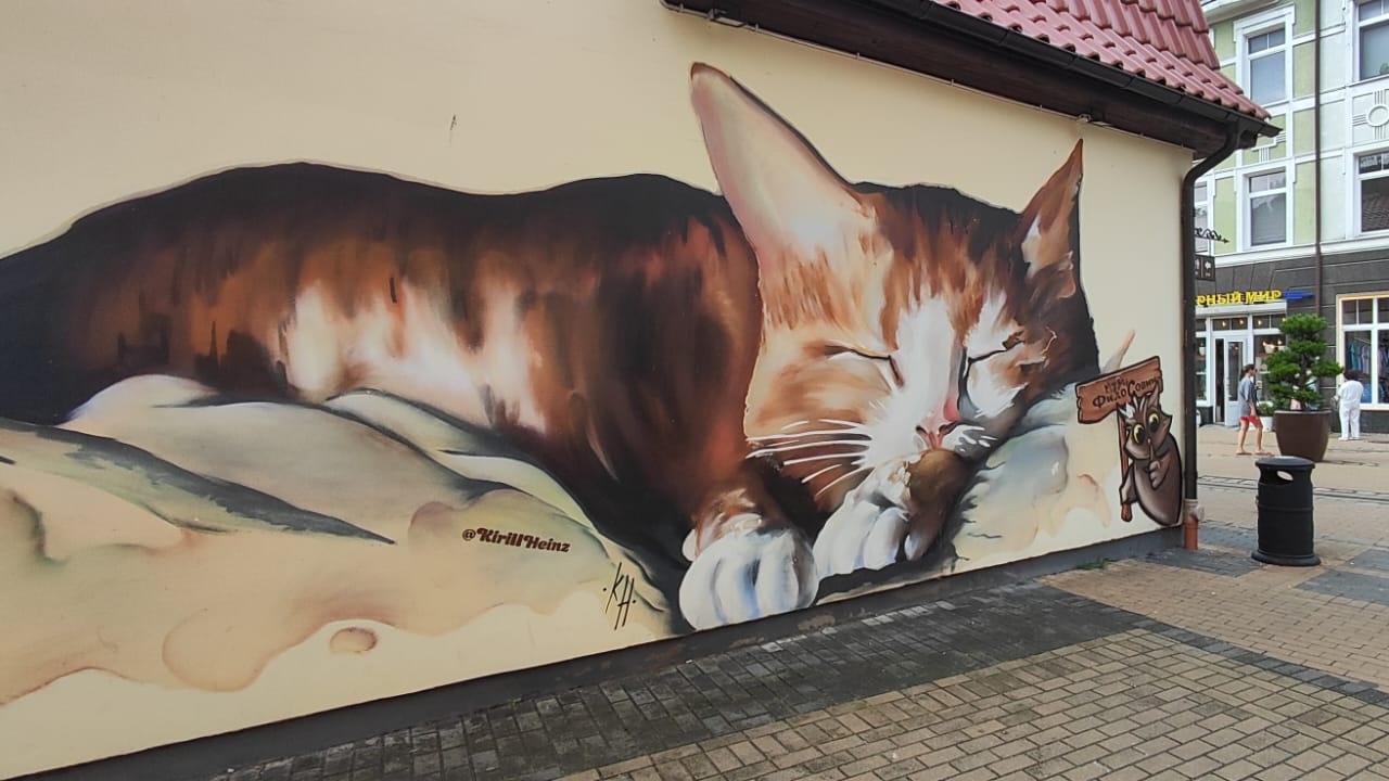 Зеленоградск. Гуляем по городу. смотреть онлайн