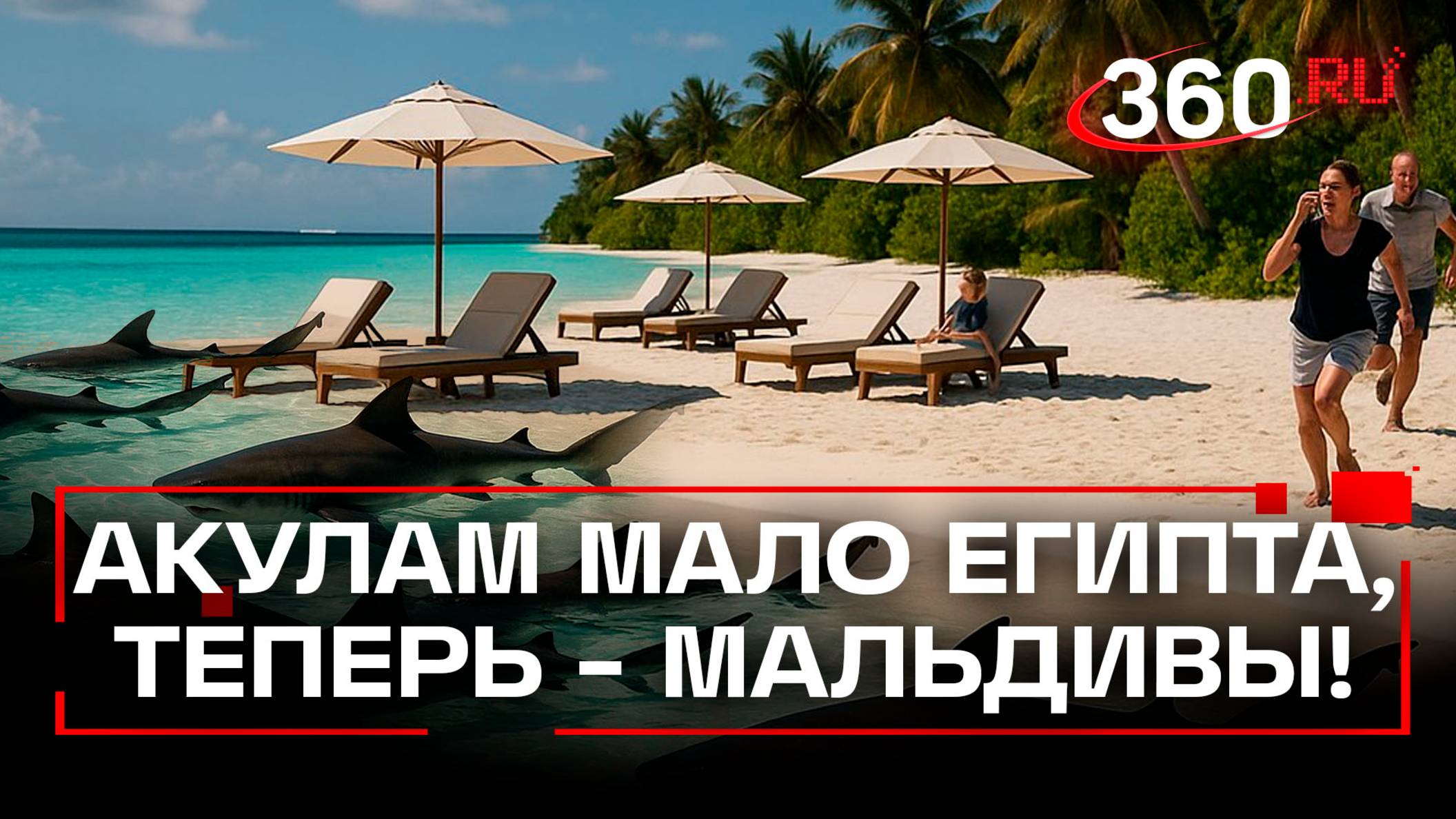 Нашествие акул на Мальдивах - опасно ли отдыхать на популярном курорте смотреть онлайн