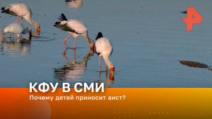 Почему детей приносит аист?