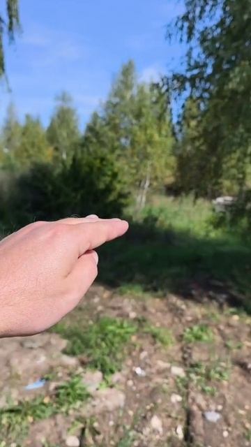 Участок в аренду 8.5 соток