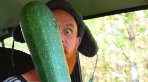 Барбекю по Таёжному