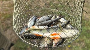 Рыбалка Малояз на реке Юрюзань