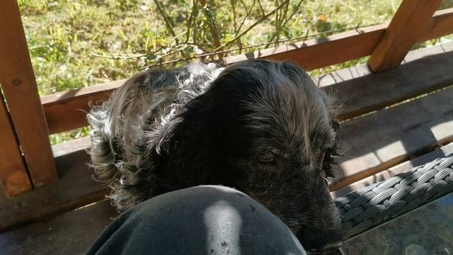 СОЧИ. ГОРНОЕ ЛОО. УТРО. 17.09.2025 смотреть онлайн