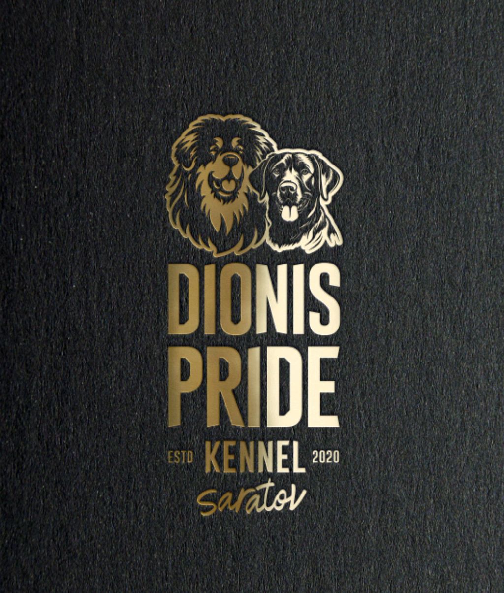 ⚜️DIONIS PRIDE⚜️ Наши малыши. 🐶🤗
