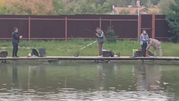 -4004268597614430040