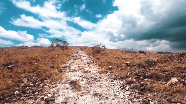 Очень красивое чтение Корана عبدالله الموسي смотреть онлайн