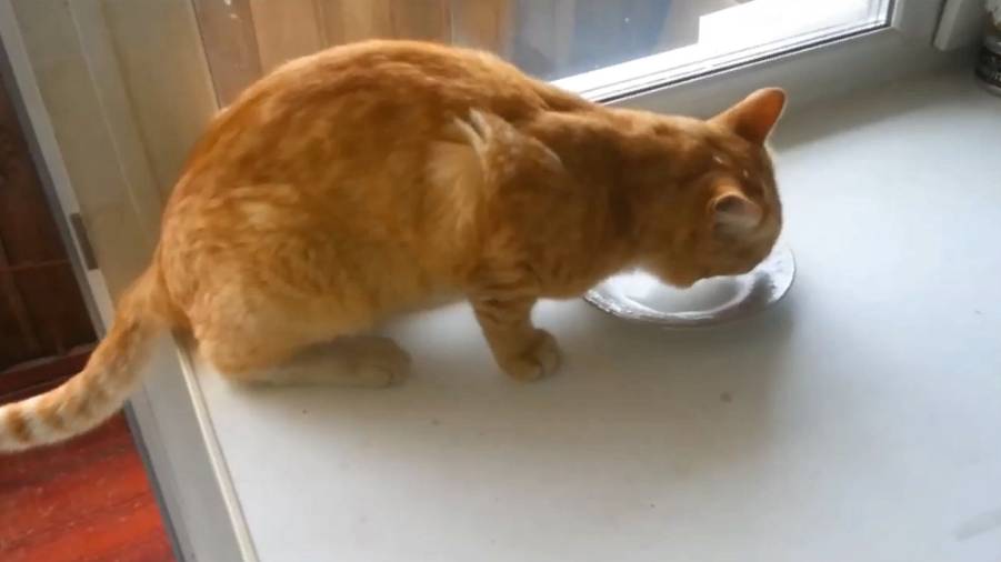 Рыжие демоны смотреть онлайн