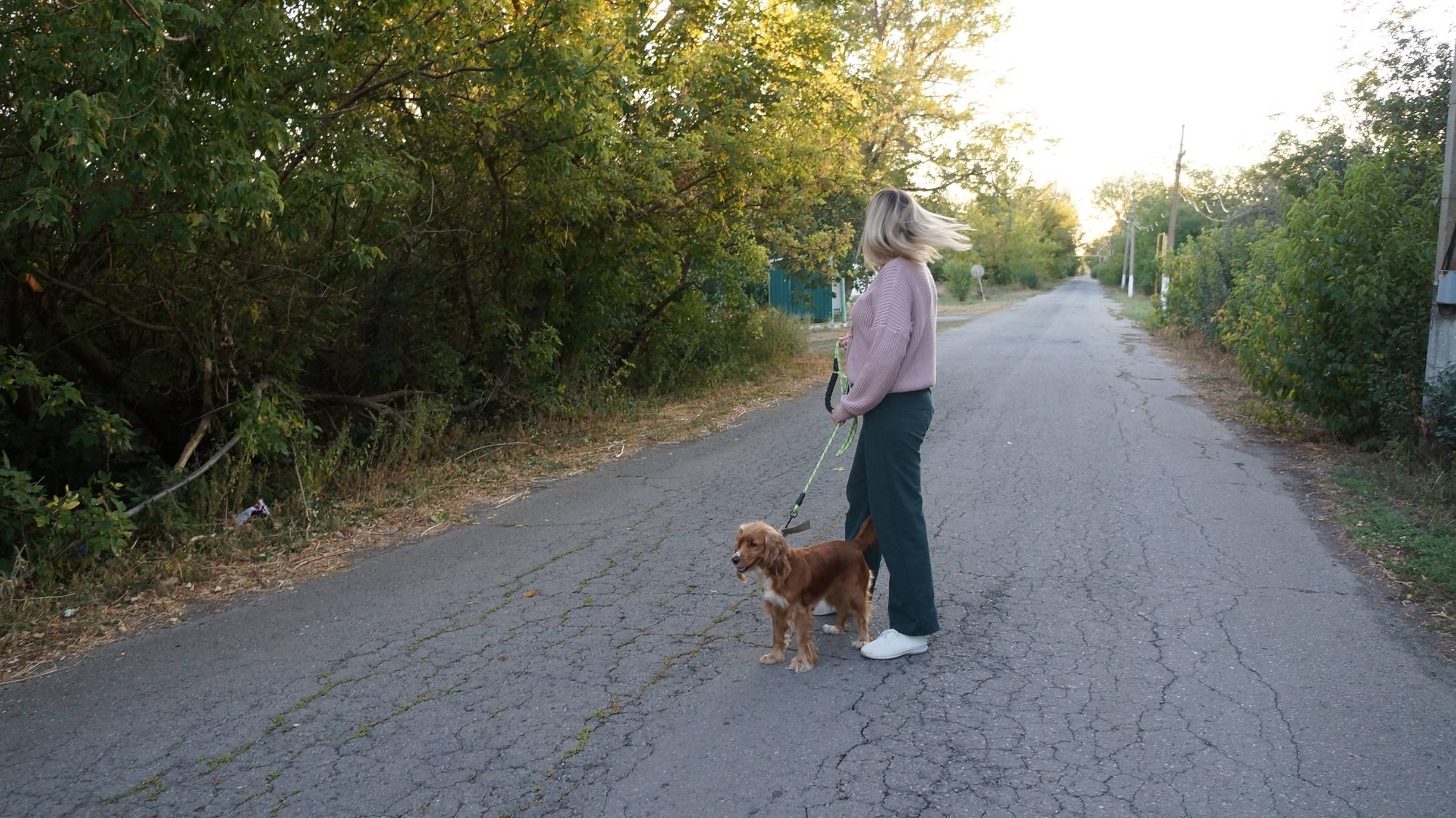 Моя жизнь в деревне