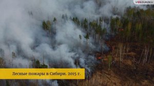 28. Природные пожары. Пожарная безопасность в природной среде