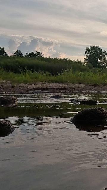 Там, где сосны шепчут ласково и река поёт. смотреть онлайн