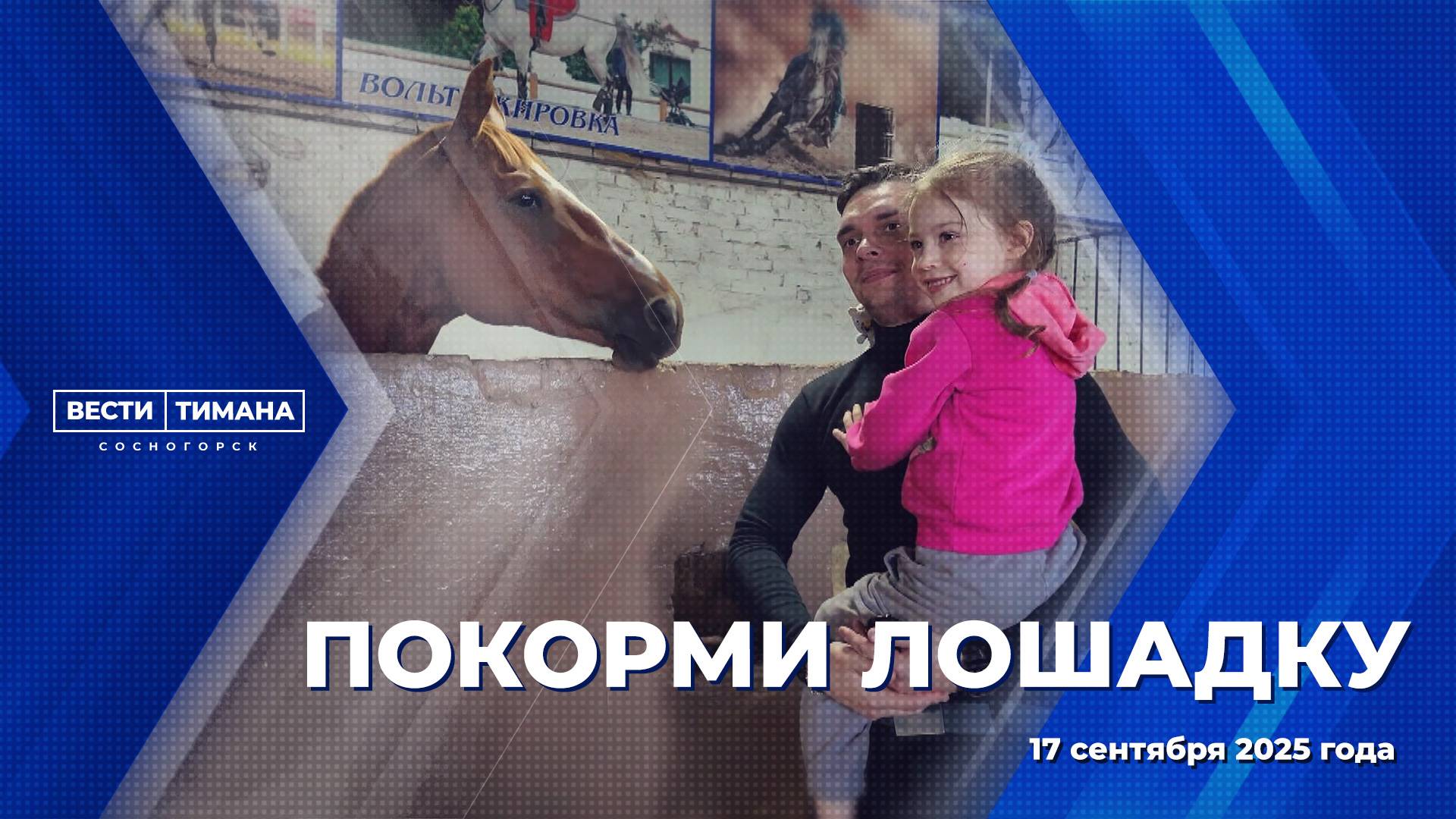 Покорми лошадку смотреть онлайн