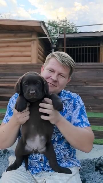 ⚜️DIONIS PRIDE⚜️ Наши малыши растут и набираются сил!🐶🤗
#dionis_pride