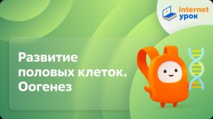 Биология 10 класс. Развитие половых клеток. Оогенез