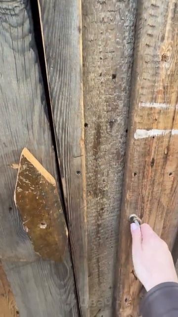 сельский туалет.mp4