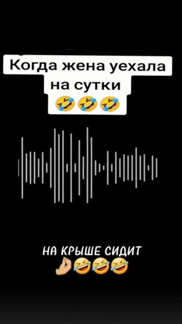 звонок на жену