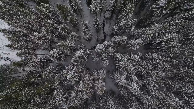 Очень красивое чтение Корана عبدالله الموسي смотреть онлайн