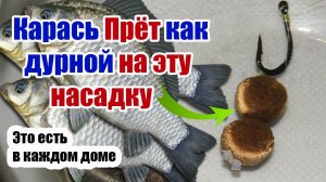 Клюет как дурной! Насадка на Карася Карпа Сазана Рыболовная Насадка для Карася
