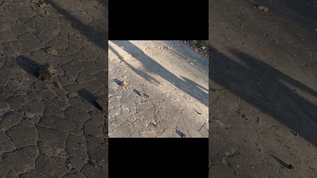 стант по городу 33