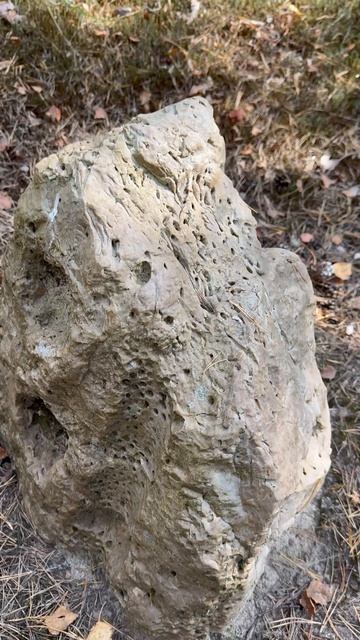 🍂 Прогулка по осеннему лесу! Красота!