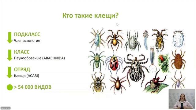 Вебинар «Дератизация. Дезинсекция. Дезинфекция»