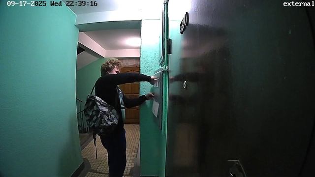 Чайка нашего подъезда