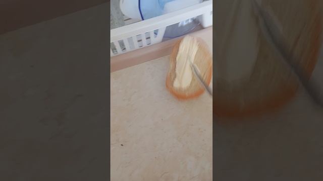 прода будет