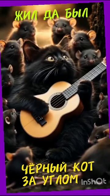 Черный кот смотреть онлайн