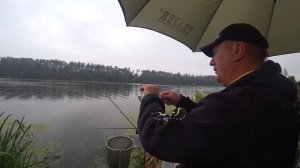 ЧТО ДЕЛАТЬ ЧТОБЫ КЛЕВАЛО ЦЕЛЫЙ ДЕНЬ!ПРАКТИЧЕСКИЕ СОВЕТЫ. СНЯЛ ПОКЛЁВКИ! ЛОВЛЯ НА ФИДЕР В СЕНТЯБРЕ!