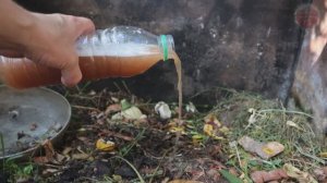 Чтобы быстро перегнили ботва, ветки и даже кости пролейте компостную кучу этим осенью.